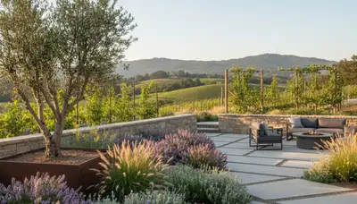 Landscaping services in Santa Rosa, CA for residential and commercial outdoor spaces
